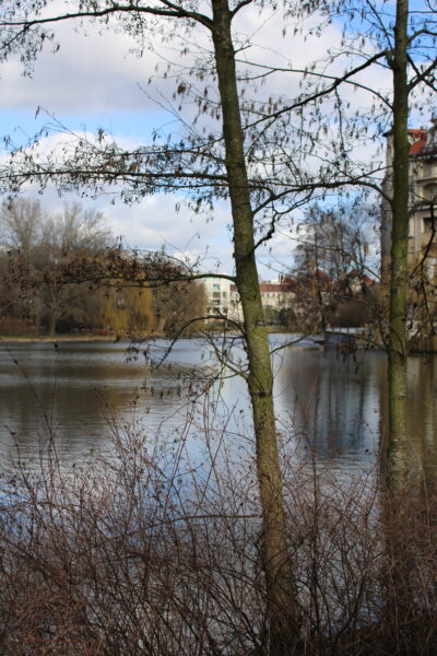 Lietzensee in Charlottenburg, eines der vielen Gewässer in Berlin