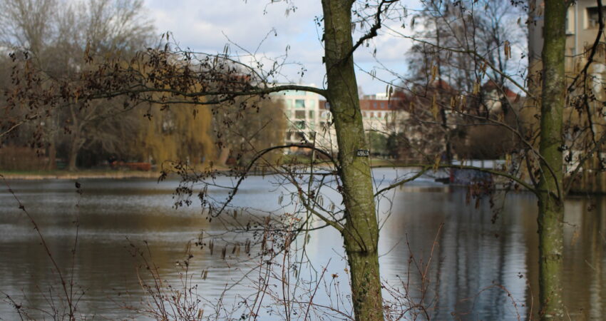 Lietzensee in Charlottenburg, eines der vielen Gewässer in Berlin