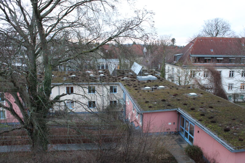 Dachbegrünung und Solarpanels auf der Wohnstätte für Erwachsene mit Autismus